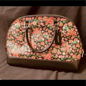 **RARE**Excellent Condition Crossbody Dome…